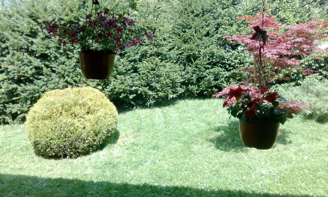 Apartmani Nais Zlatibor Bagian luar foto